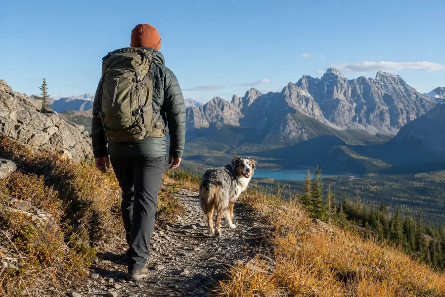 A hiker with a backpack walking beside a dog on a mountain trail.
